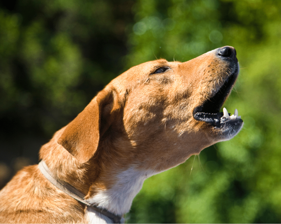 1 Outdoor Adventures